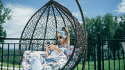 Top 10 Outdoor Swing Chairs for 2024