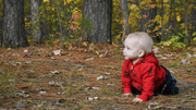When Do Babies Really Start Crawling?